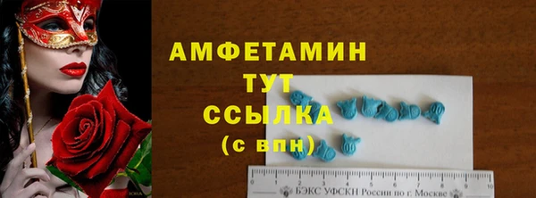 молекула духа Богородицк
