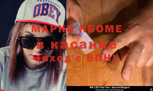 молекула духа Богородицк