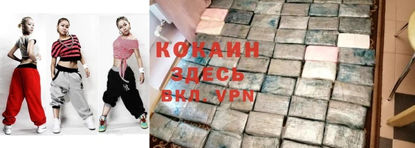 молекула духа Богородицк