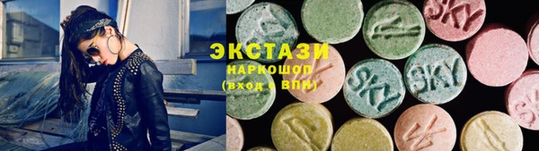 молекула духа Богородицк