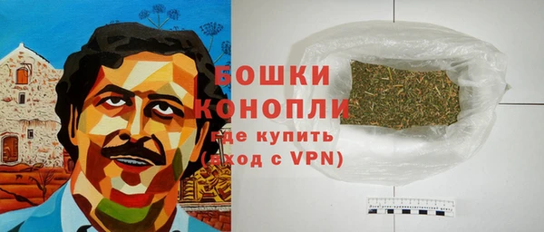 молекула духа Богородицк