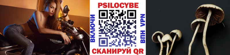 Галлюциногенные грибы мухоморы  где купить   Невель 